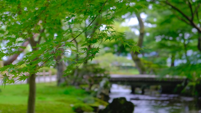 石川県金沢市兼六園お土産